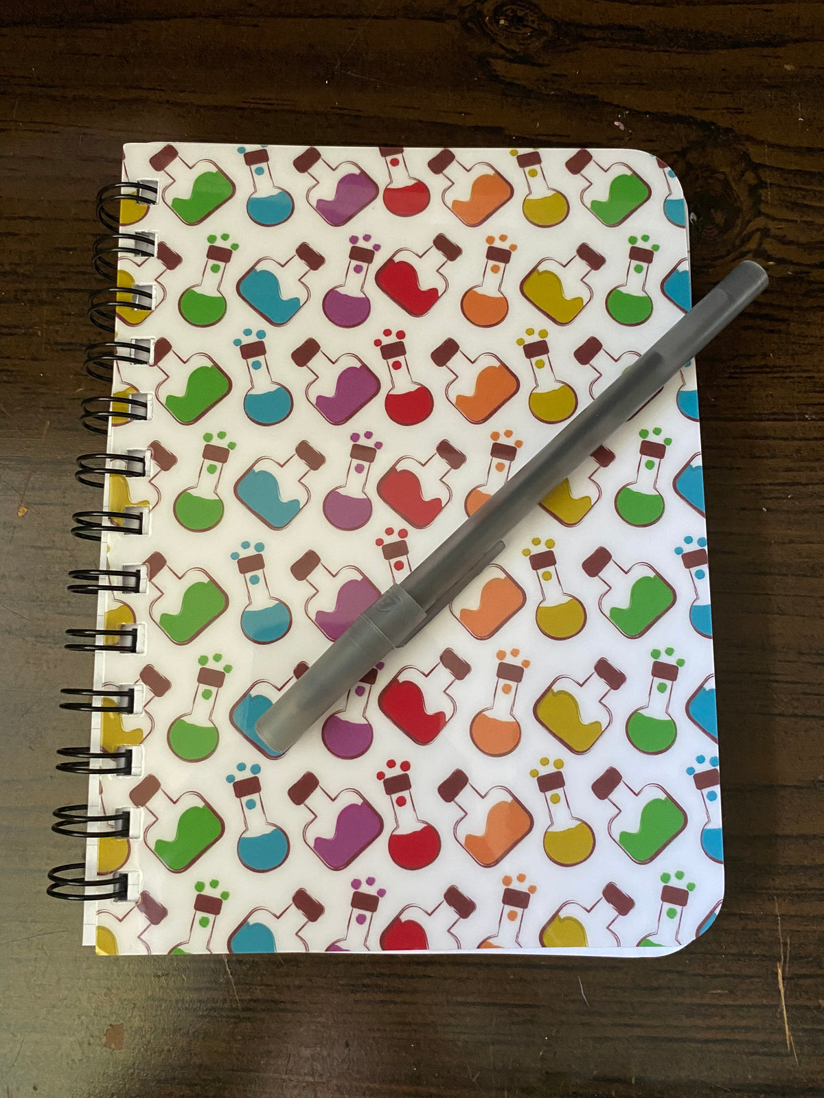 Rainbow Potion Notebook